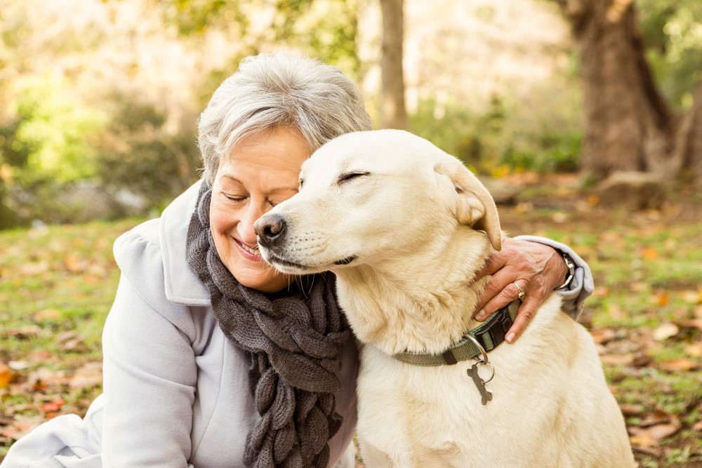 Pétition OUI aux animaux de compagnie dans les maisons